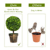 24-inch artificial boxwood topiary ball tree with natural trunk and cement base, perfect for indoor and outdoor.