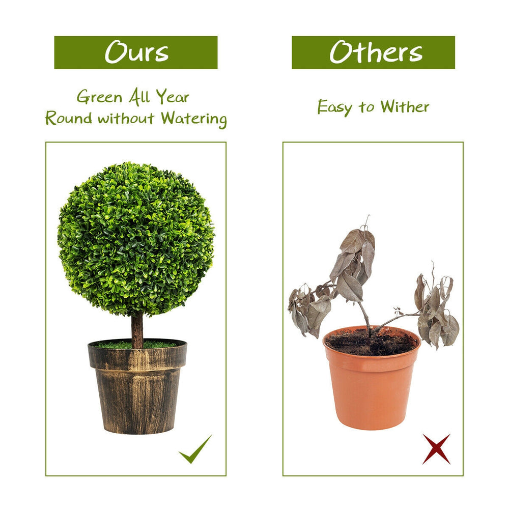 24-inch artificial boxwood topiary ball tree with natural trunk and cement base, perfect for indoor and outdoor.