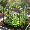 Tall black metal garden arch trellis supporting climbing plants, promoting healthy growth in a raised garden bed.
