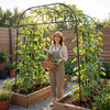 Tall black metal garden arch trellis supporting climbing plants, designed for outdoor use and easy harvesting.