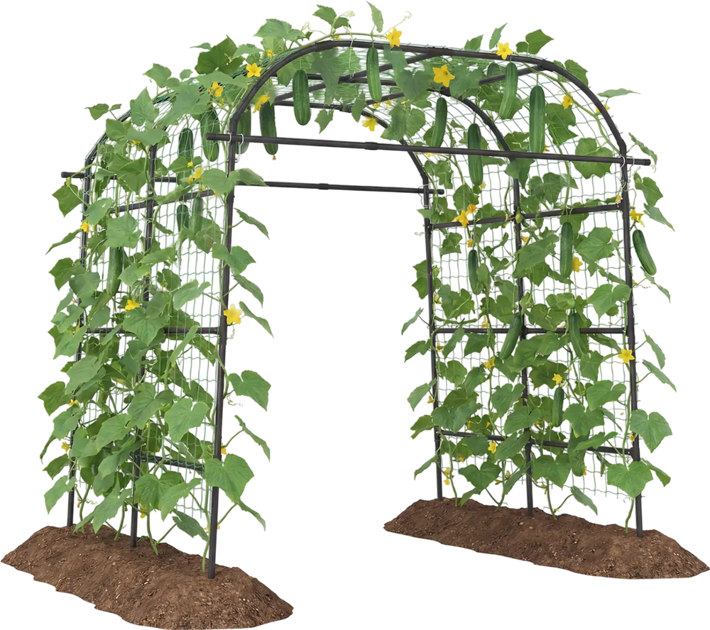 Tall black metal garden arch trellis for climbing plants, providing vertical support and promoting healthy growth.