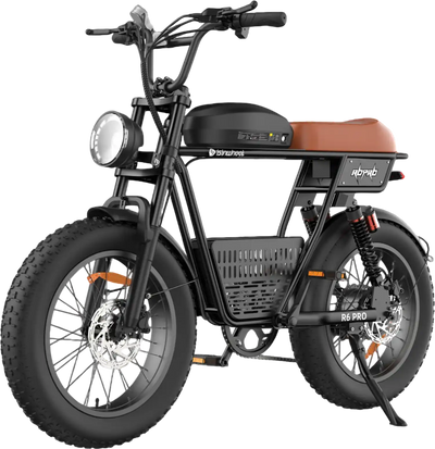 Isinwheel R6 Pro Electric Dirt Bike 51 Mile Range 35 MPH 1500W New