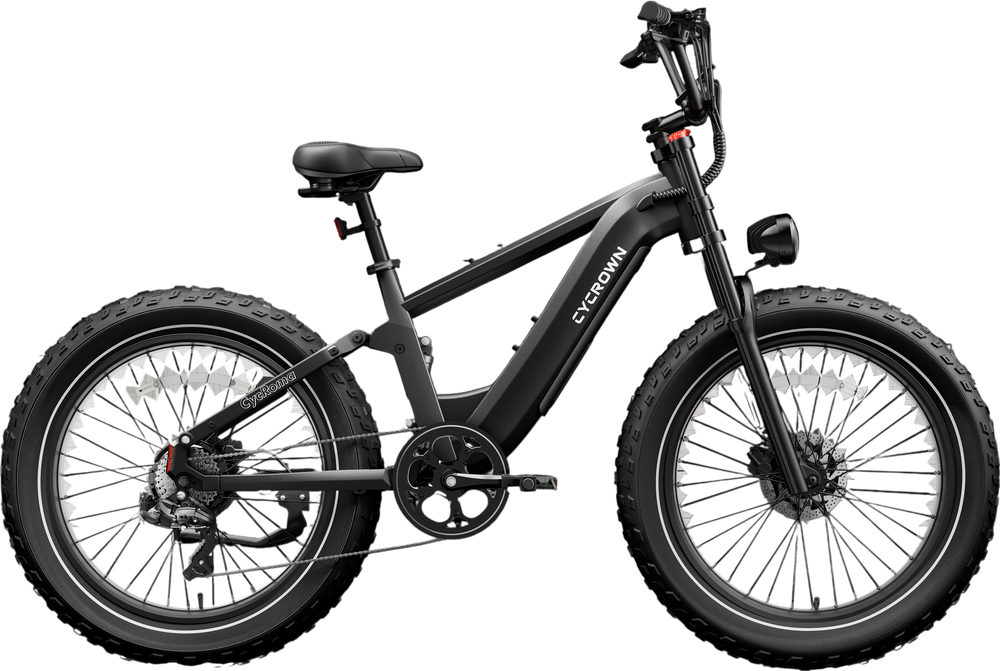 Roma All-Terrain Ebike