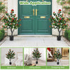 Set of 2 artificial camellia trees with 36 red blossoms, perfect for adding elegance to living rooms or porches.