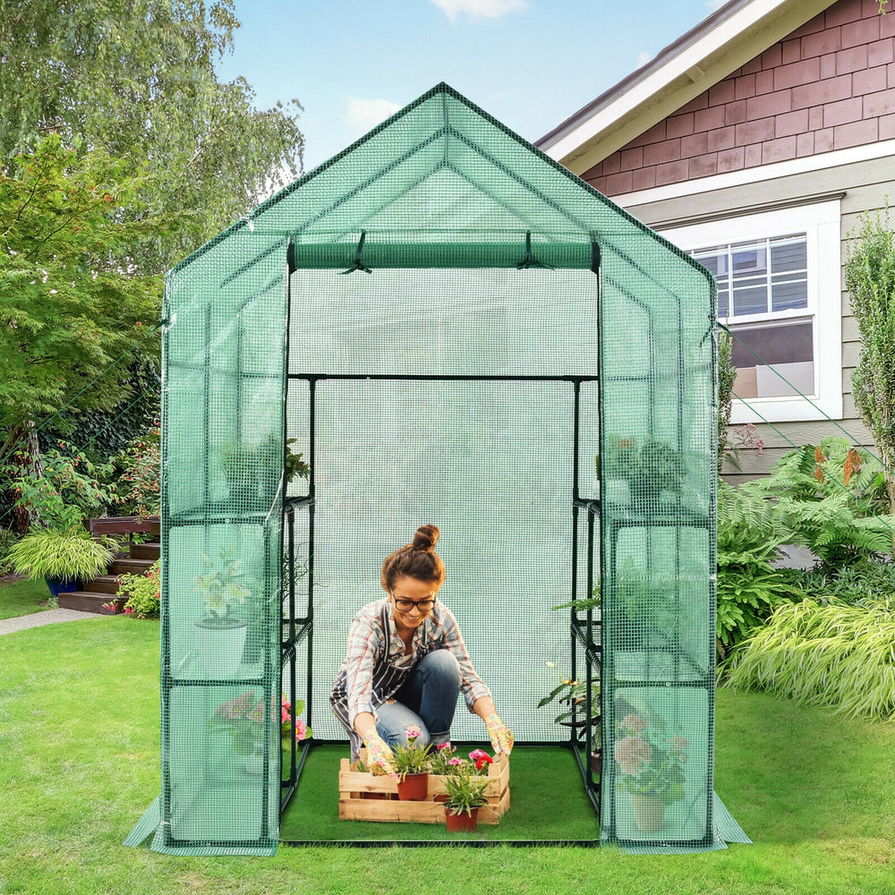 Walk-in greenhouse with observation windows, made of PE material, featuring a roll-up door and eight shelves for plants.
