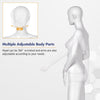 Adjustable 5.8 ft female mannequin with detachable arms and hands, ideal for showcasing fashionable apparel in stores.