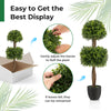 Artificial 40-inch boxwood topiary tree with double ball shape, realistic leaves, and weighted base for stable indoor.