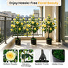 Artificial Camellia tree with yellow flowers and dense foliage in a cement-filled pot, perfect for indoor or outdoor.