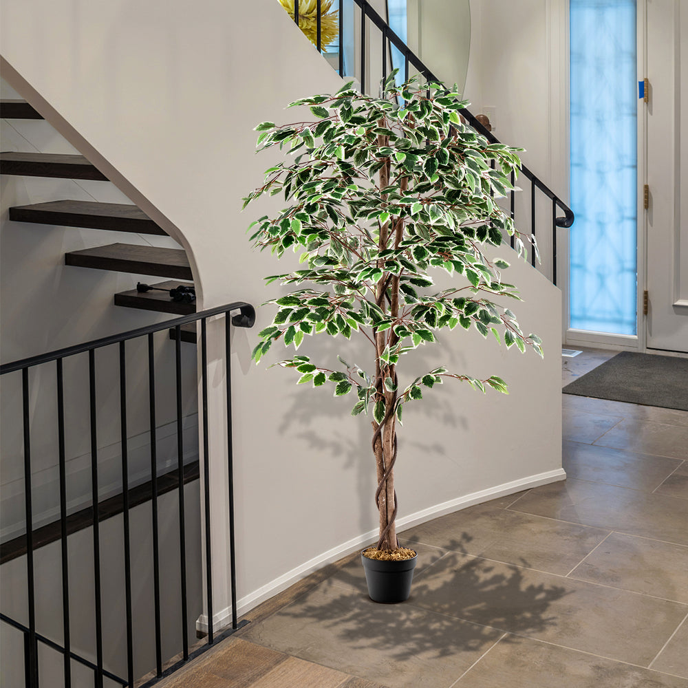 Tall artificial ficus tree with 1008 leaves in a nursery pot, perfect for indoor decoration in entryways or offices.