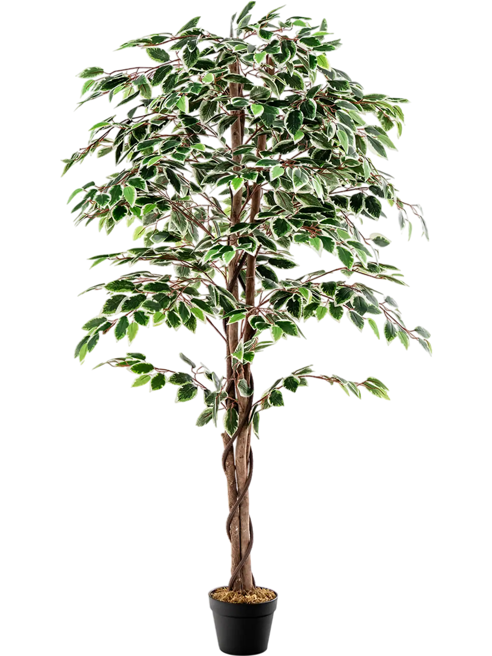 Artificial Ficus Tree Tall Faux Indoor Plant with 1008 Leaves Nursery Pot and Dried Moss