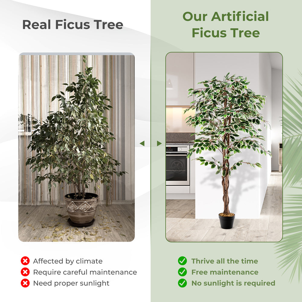 Tall artificial Ficus tree with 1008 leaves, solid wood trunk, and dried moss, perfect for indoor decor without.