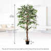 Tall artificial ficus tree with 1008 leaves and a solid wood trunk, perfect for indoor decor in homes or offices.