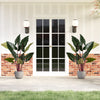 Artificial Rainbow Taro Tree 63" Tall with 11 Faux Leaves-2 Pack - Gallery View 1 of 10