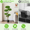 Indoor outdoor 6 balls topiary tree with realistic trunk, weighted cement base, and vibrant faux leaves for year-round.