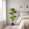 Indoor outdoor 6 balls topiary tree with realistic trunk and weighted base, perfect for living room or office decor.