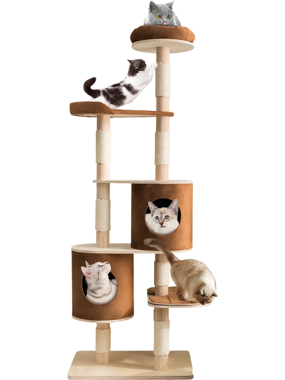 6-tier wooden cat tree in brown with removable condos and platforms, perfect for multiple cats to play and relax.