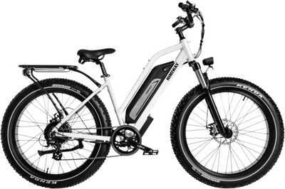 Himiway Cruiser D3 ST Electric Bicycle 48V 750W 20 MPH Step-Thru 26