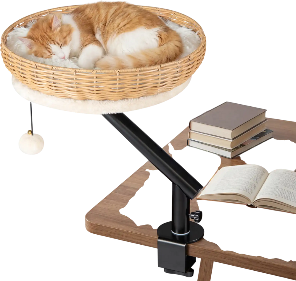 Comfy cat desk bed with removable cushion, featuring a natural rattan design and adjustable mount for indoor cats.