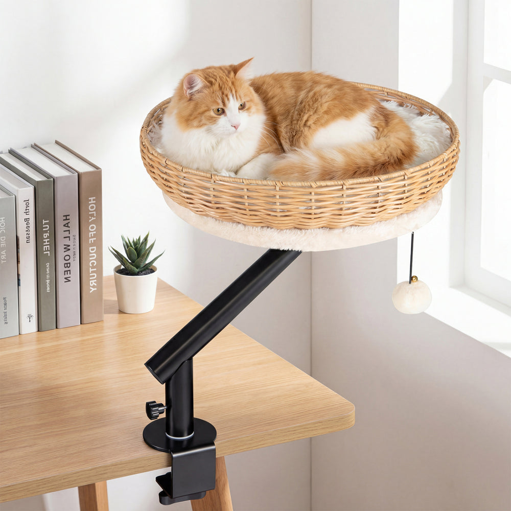 Comfy cat desk bed with removable cushion, mounted design, and breathable PE rattan for indoor cats.