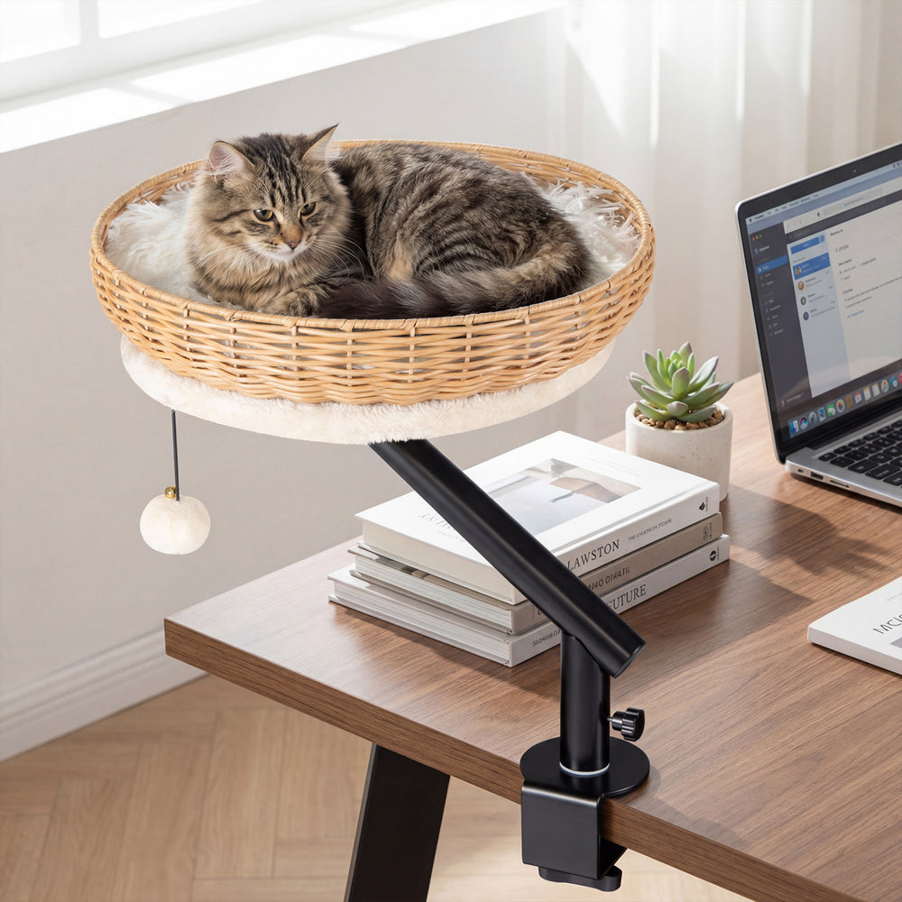 Comfy cat desk bed with removable cushion, mounted on a desk, featuring a jingling ball for playful fun.