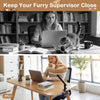 Comfy cat desk bed with removable cushion, designed for indoor cats, perfect for office or study use.