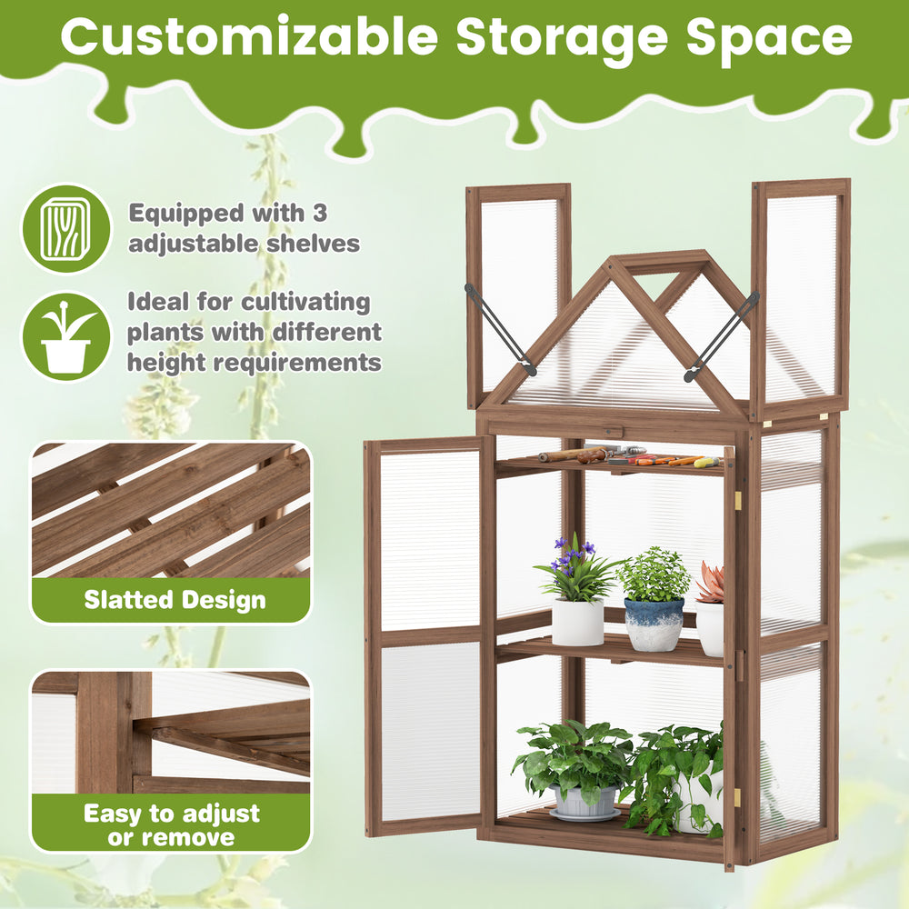 Mini wooden greenhouse with slatted design, three adjustable shelves, ideal for cultivating plants in various heights.
