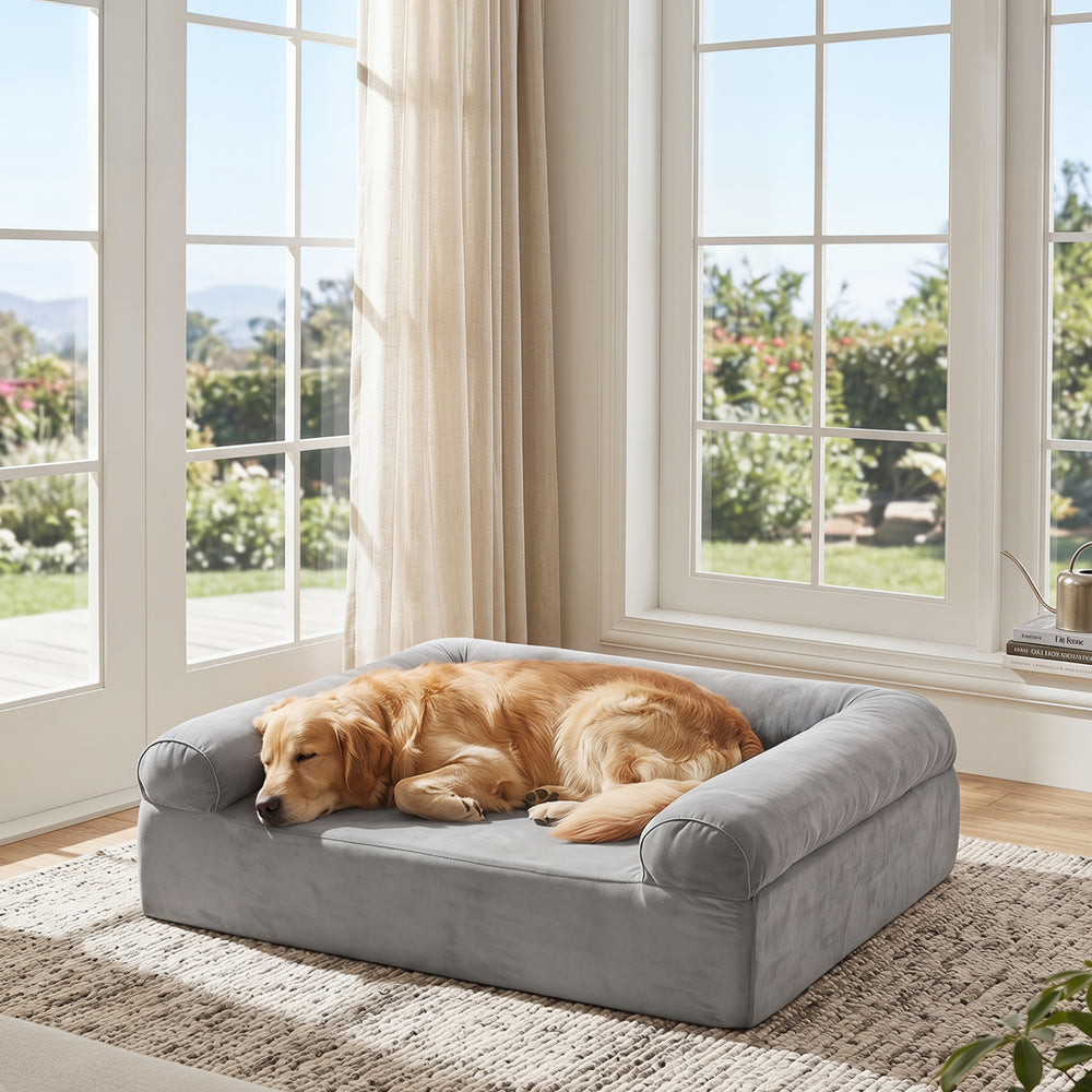 Cooling gel memory foam dog bed in light gray showcasing a medium dog resting comfortably, providing ergonomic support.