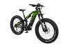 Cyrusher Hurricane Electric Bike Carbon Fiber Mid-Drive 25 MPH 55 Mile Range 1000W New