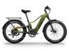 best electric bike for the money - Himiway D5 2.0