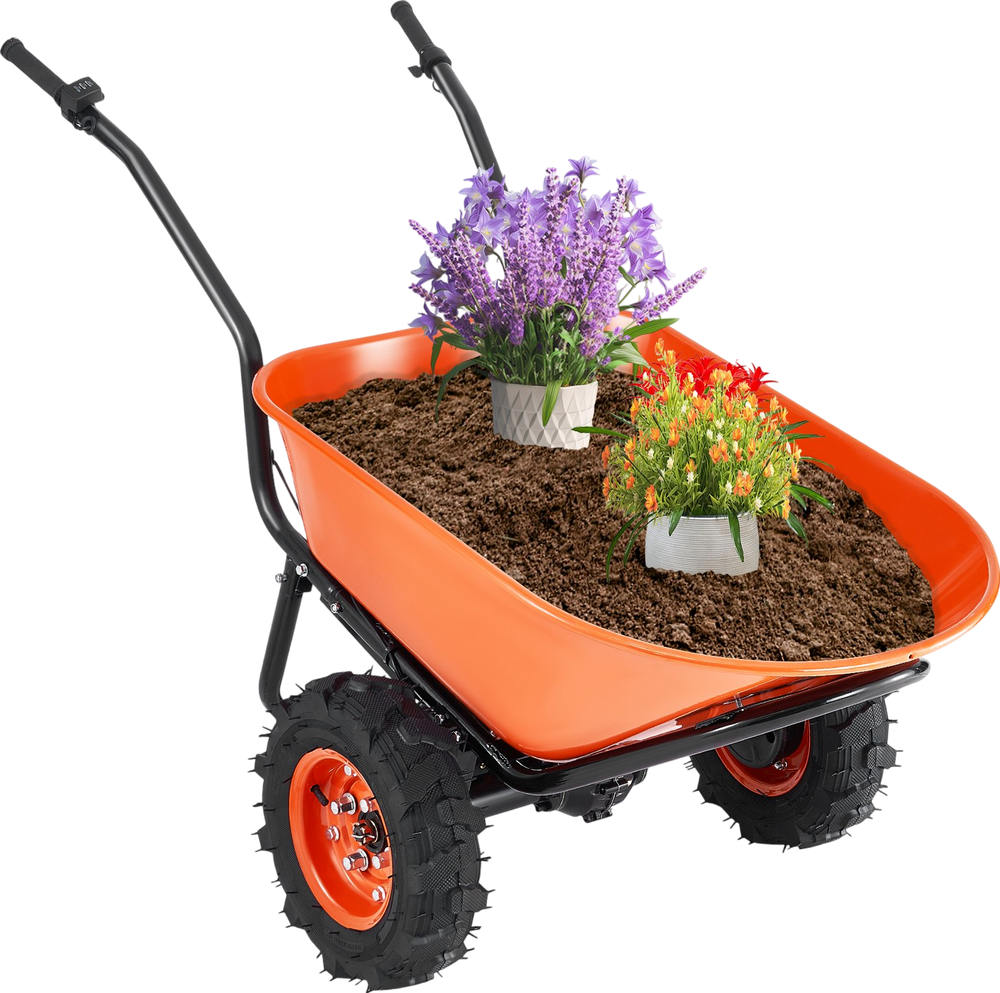 Featured image for product 8030268620989