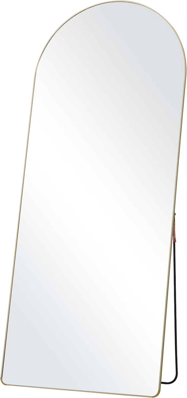 Vevor Full Length Mirror 71