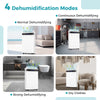 Dehumidifier with four modes displayed, featuring a touch panel and large water tank for efficient moisture removal.