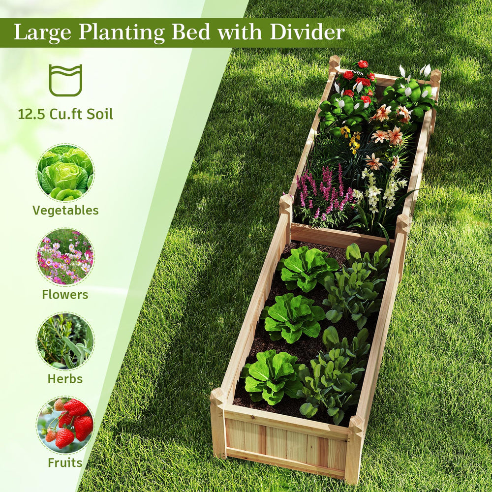 Divisible planter box made of painted fir wood, featuring a removable divider and drainage holes for healthy plant.
