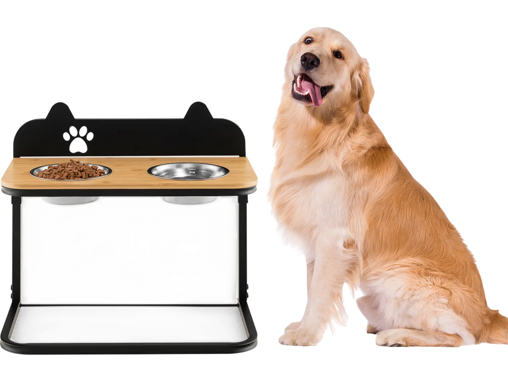 Dog Bowl Stand with 2 Stainless Steel Food Water Bowls