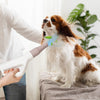Dog hair blower with adjustable temperature and negative ion function, drying long fur quickly and efficiently.
