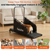 Dog treadmill with remote control and LCD display, designed for small and medium dogs, promotes active indoor exercise.