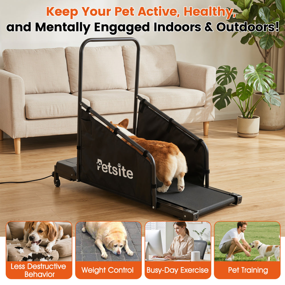 Dog treadmill with remote control and LCD display, designed for small and medium dogs, promotes active indoor exercise.