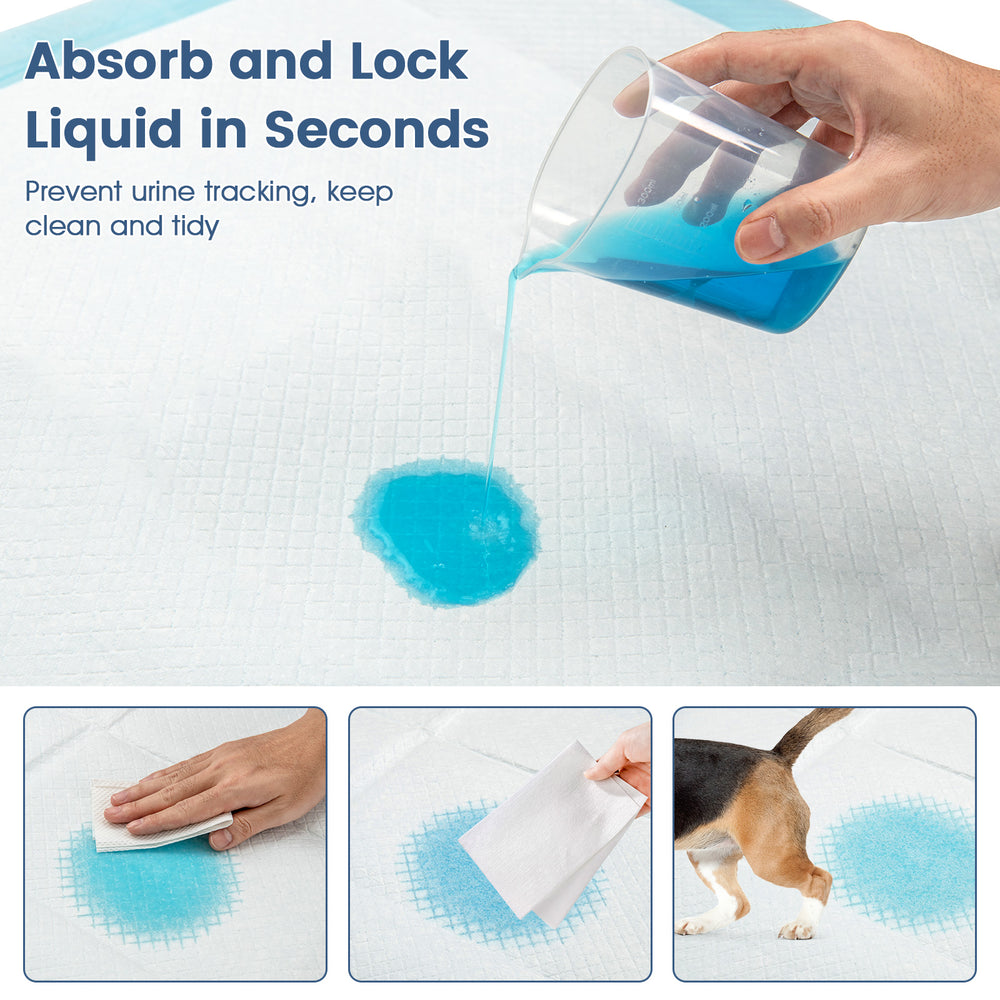 Dog and puppy pee pads 24" x 17" with 5-layer design for maximum absorption and leak protection, ideal for potty.