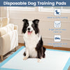 Dog and puppy pee pads, 36" x 36", blue, featuring 5-layer design for maximum absorption and easy clean-up.