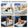 Dog and puppy pee pads 36" x 36" in blue, designed for potty training with leak-proof protection for various surfaces.