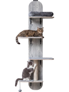 Four-level adjustable door hanging cat climber in gray with plush bed, scratching post, and removable pads for comfort.