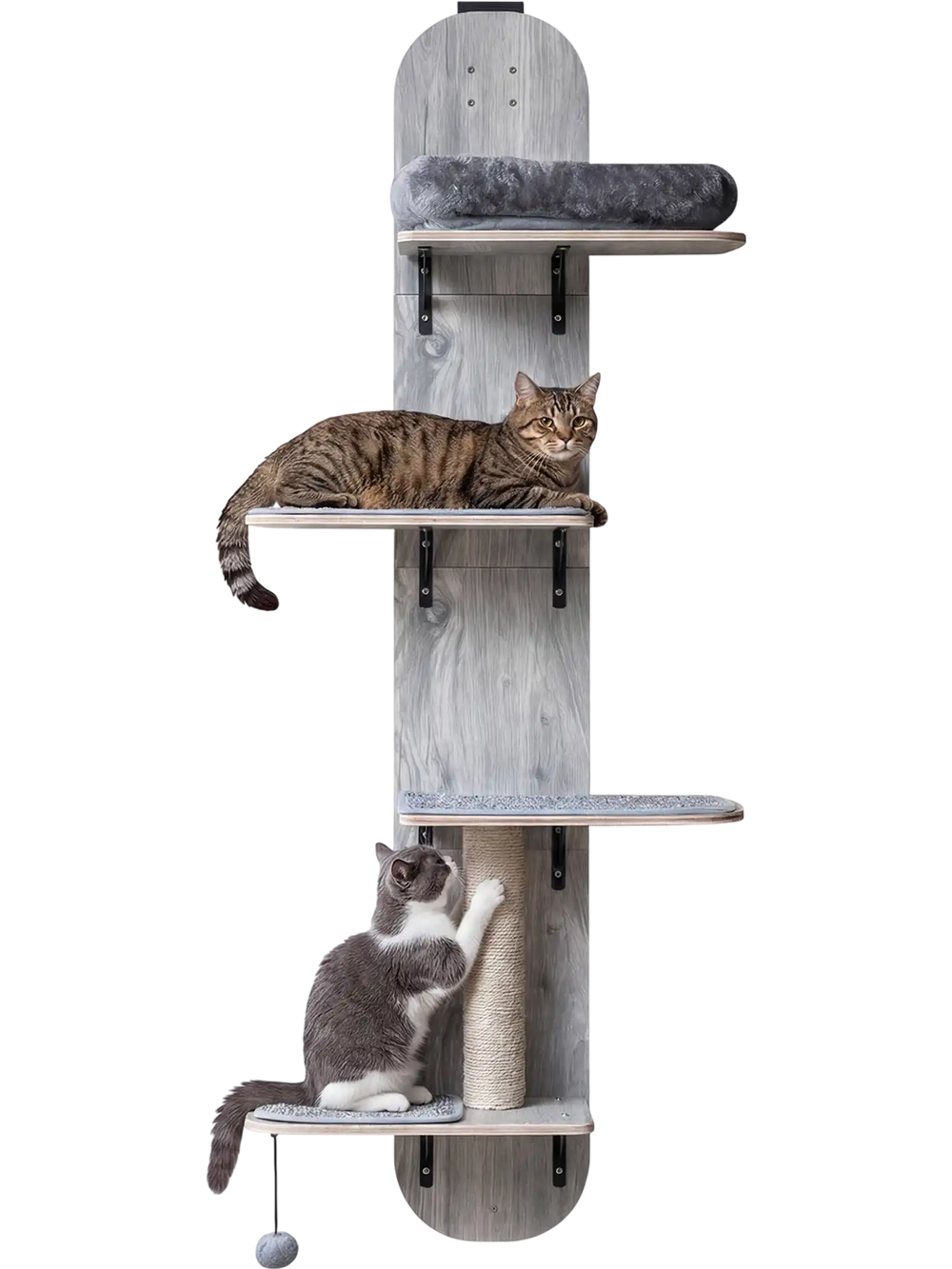 Four-level adjustable door hanging cat climber in gray with plush bed, scratching post, and removable pads for comfort.
