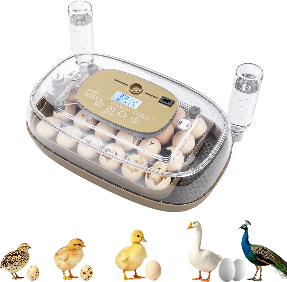 Egg incubator with temperature and humidity control, holding 21 chicken eggs and featuring an automatic egg turning tray.
