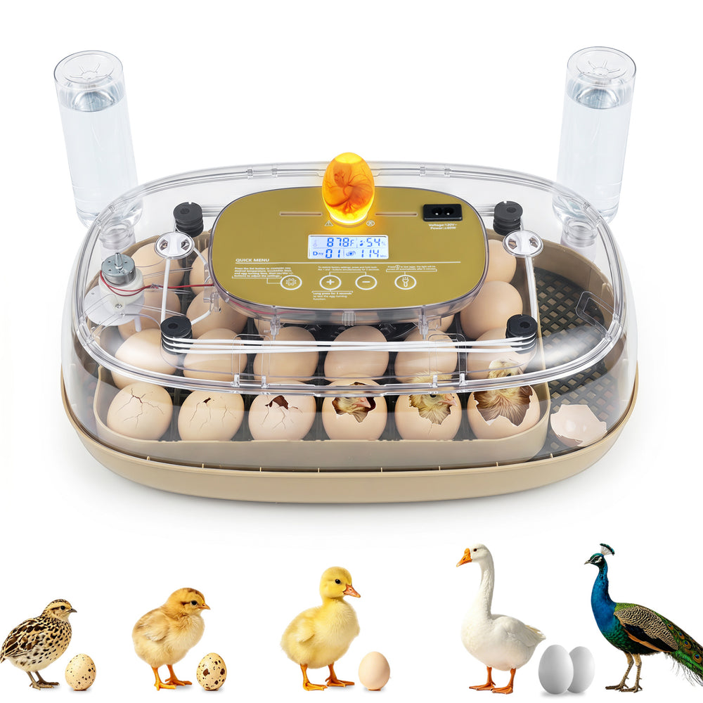 Egg incubator with temperature and humidity control, holding 21 chicken eggs for optimal hatching in various settings.