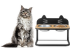 Elevated Pet Feeder with 2 Stainless Steel Bowls for Cats and Small and Medium Dogs