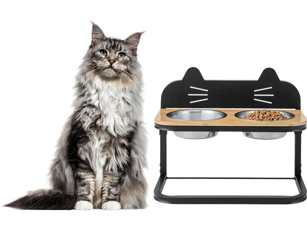 Elevated Pet Feeder with 2 Stainless Steel Bowls for Cats and Small and Medium Dogs