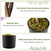 Lifelike 6 FT artificial wisteria tree with purple flowers, natural wood trunks, and stable cement-filled flowerpot.
