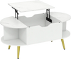 Faux marble lift top coffee table in white with hidden compartment and shelves, perfect for living room use.