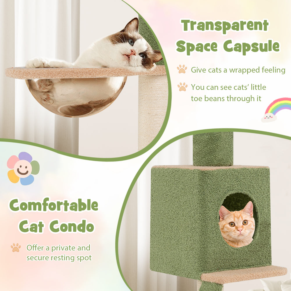 Transparent space capsule and cozy cat condo on an adjustable floor-to-ceiling cat tree for playful feline relaxation.