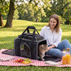 Foldable pet carrier with wheels, featuring breathable mesh windows and a comfortable space for small pets outdoors.